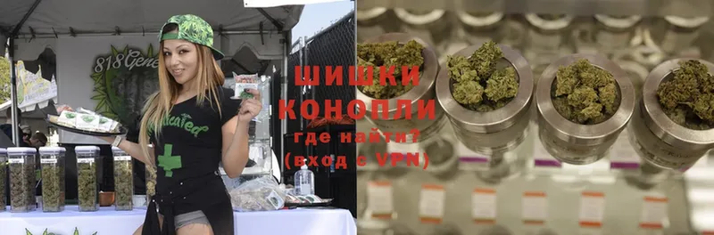 как найти наркотики  Петровск  Каннабис SATIVA & INDICA 